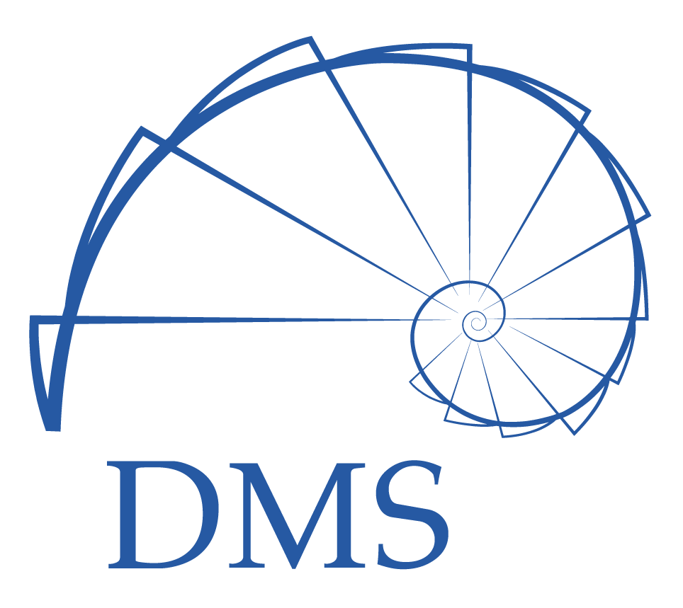 DMS - Betty Blocks partner